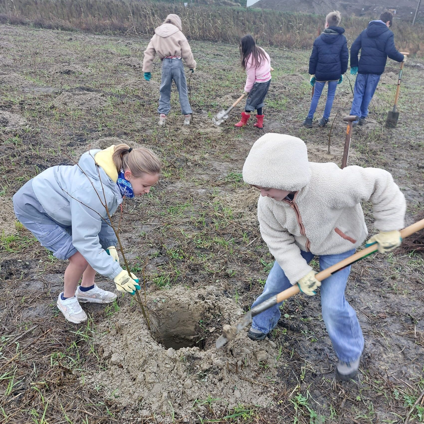 Sl5 6 Boomplantactie